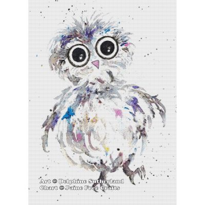(image for) Baby Owl